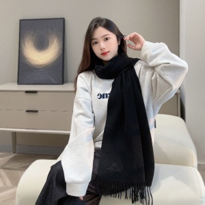 9A+ quality loewe scarf 170x43cm